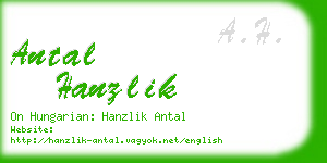 antal hanzlik business card